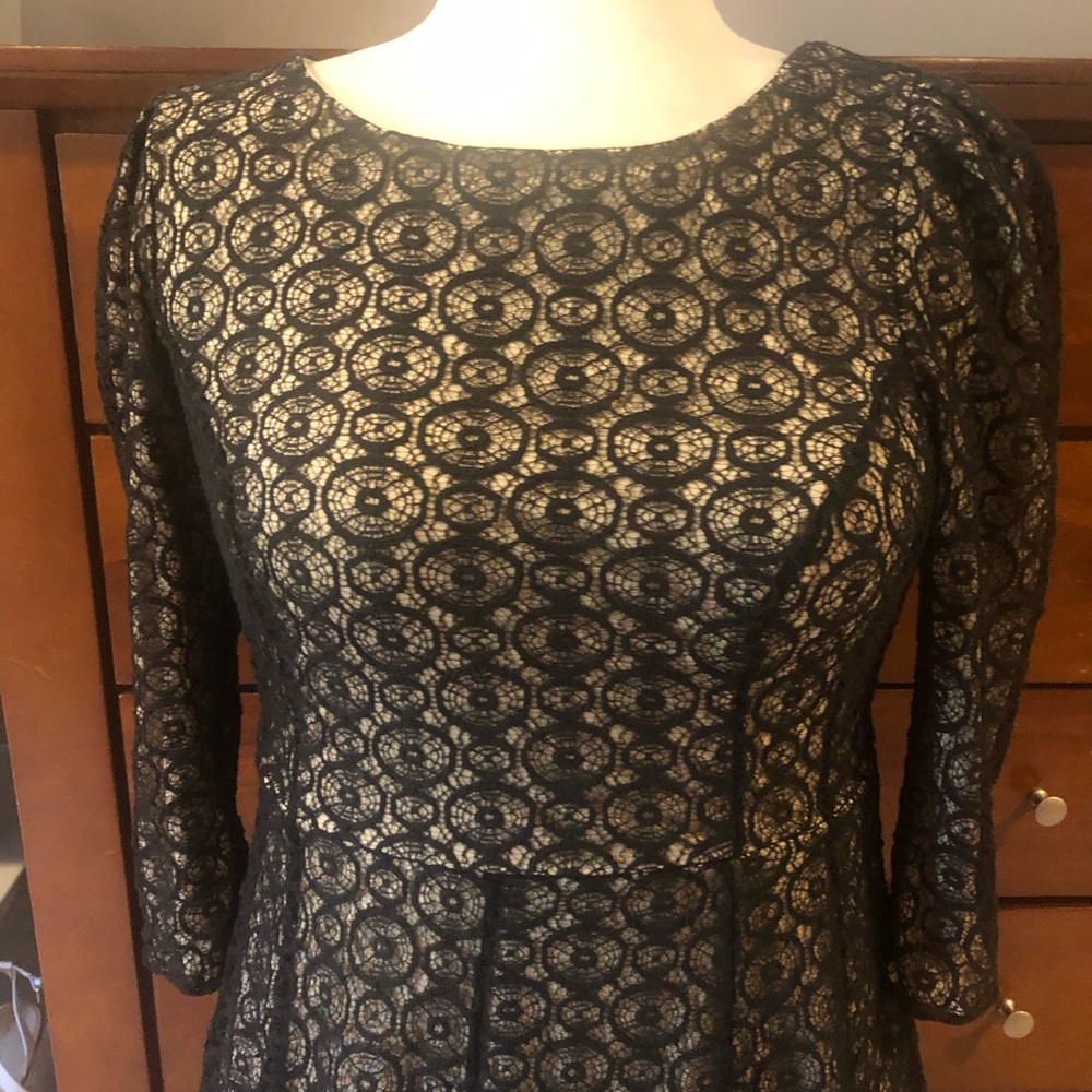 Arden B Black Lace Fit-and-Flare Dress with Cream Underlay - Picture 3 of 8